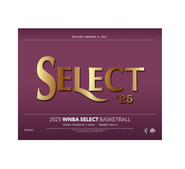 2025PaniniSelectWNBABasketballHobbyMegaBox_PinkIcePrizm_s_2 2025 Panini Select WNBA Basketball Hobby Mega 20-Box Case (Pink Ice Prizm's)