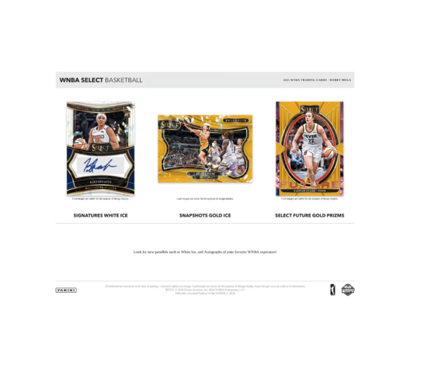 2025PaniniSelectWNBABasketballHobbyMegaBox_PinkIcePrizm_s_4 2025 Panini Select WNBA Basketball Hobby Mega 20-Box Case (Pink Ice Prizm's)